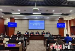 成都青羊区新闻爆料,聚焦最新动态，共话城市变迁