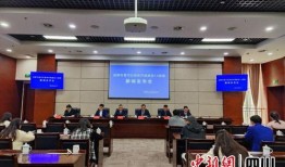 成都青羊区新闻爆料,聚焦最新动态，共话城市变迁