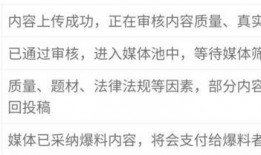 新闻爆料审核时间,真相背后的等待与期待