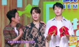 东北小王子被爆料视频播放,揭秘网络红人的真实一面