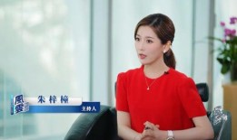 陈丹丹小说爆料大全最新,揭秘幕后故事与创作灵感