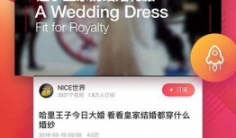 新闻爆料纯音乐视频下载,揭秘热门纯音乐视频下载背后的新闻爆料