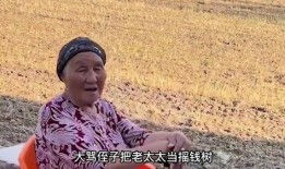谢二团大姑爆料视频,独家内幕大公开