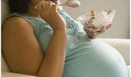 新妈妈在线观看完整版,育儿路上的温馨陪伴