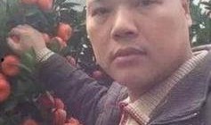 托哥爆料橘子哥视频,橘子哥视频背后的惊人真相