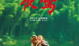 夜莺在线观看,穿越时空的旋律之旅