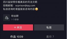 美国生活爆料视频播放大全,视频大全揭秘异国风情与真实生活