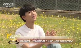 文琪爆料王俊凯视频大全