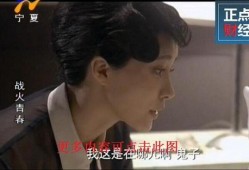 宁夏卫视直播在线观看,实时掌握宁夏精彩瞬间