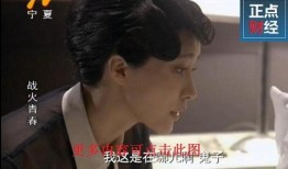 宁夏卫视直播在线观看,实时掌握宁夏精彩瞬间