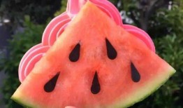 吃瓜站点网红,揭秘幕后故事与热门话题