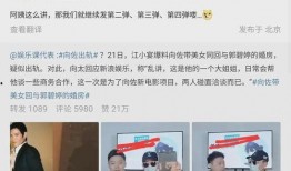 狗仔爆料解说大全视频,解说大全视频背后的精彩瞬间