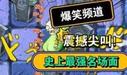 僵尸哥今日爆料,揭秘娱乐圈不为人知的秘密