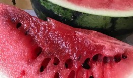 西瓜视频以色列爆料是真的吗,真相揭秘，是真是假？