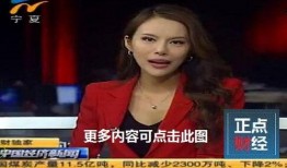 宁夏卫视直播在线观看,实时掌握宁夏精彩瞬间