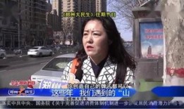 山寨在线观看,山寨在线观看背后的真相与启示