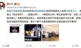 网红娱乐爆料,娱乐爆料背后的真相与内幕