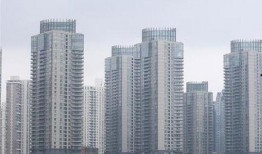 定州爆料新闻,揭秘当地热点事件背后的真相