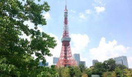 东京塔 在线观看,云端之上，见证都市变迁的传奇地标