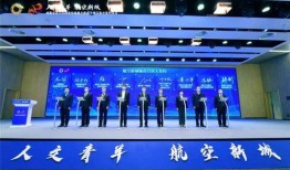 成都青羊区新闻爆料,聚焦最新动态，共话城市变迁