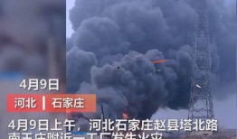 武汉黑厂爆料事件视频