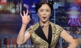 歌星爆料绯闻是真的吗视频,爆料视频揭露背后真相