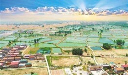 中牟九堡免费吃瓜,免费吃瓜活动乐翻天
