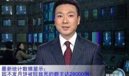天涯爆料康辉是谁啊视频,康辉身份之谜