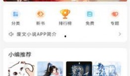 最新爆料热文小说,最新爆料背后的惊心动魄故事