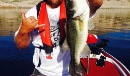 娱乐吃瓜钓鱼视频下载,一键下载收藏攻略