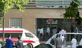 爆料河南洛阳事件视频,揭秘背后真相与争议