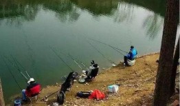 水库大鱼爆料怎么做视频,视频制作攻略全解析