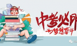 时空舱最新爆料消息,穿越时空的神秘之旅即将开启
