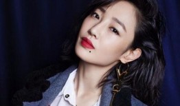 陶昕爆料何建泽视频合集,揭秘背后真相