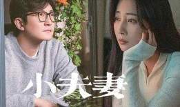 夫妻网红被爆料视频,揭秘背后惊人真相