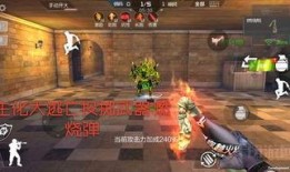 cf手游体验服最新爆料黑金币,CF手游体验服最新爆料揭秘