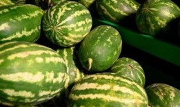 微山吃瓜最新事件爆料视频