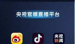 点击爆料视频怎么做的呢,轻松吸引观众眼球