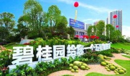 安宁碧桂园最新爆料,智慧生活新篇章即将开启