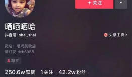 迪拜爆料新闻视频播放,揭秘视频背后的惊人真相