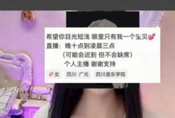 四川网红爆料视频大全集,揭秘网络红人背后的故事