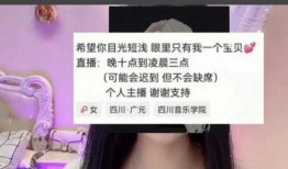 四川网红爆料视频大全集,揭秘网络红人背后的故事