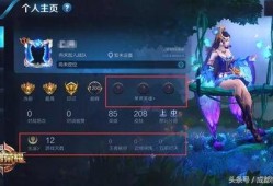 王者加强最新爆料英雄,新英雄崛起，神秘加强爆料引玩家热议