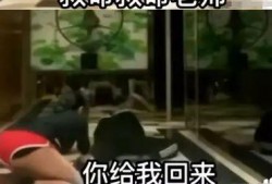 过往各种爆料视频大全集,过往爆料视频大全集深度解析