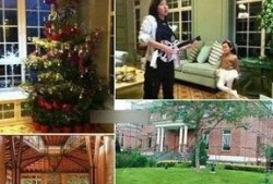 网友爆料王菲豪宅视频播放,奢华生活引网友热议