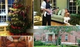 网友爆料王菲豪宅视频播放,奢华生活引网友热议