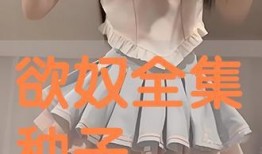 在线种子观看,解锁影视资源的新时代