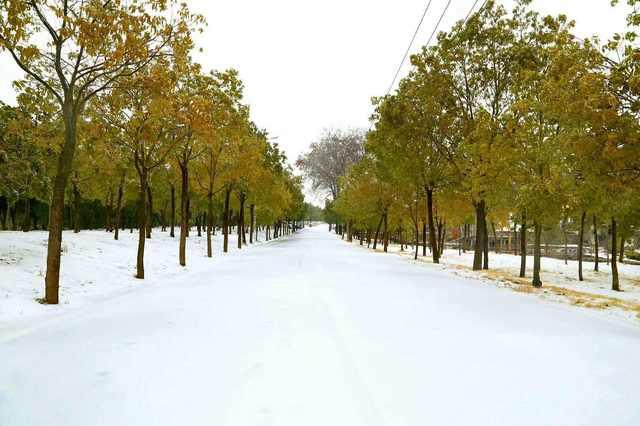 娱乐圈吃瓜新闻播报