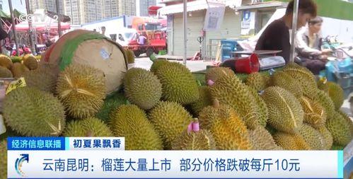 吃瓜娱乐间榴莲,热带果王背后的传奇与争议